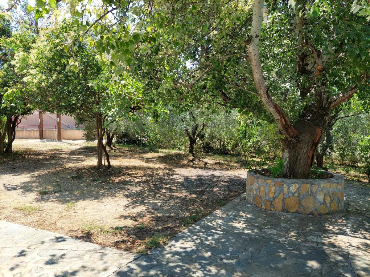 Lelegianni Studios&apartments * Psakoudia